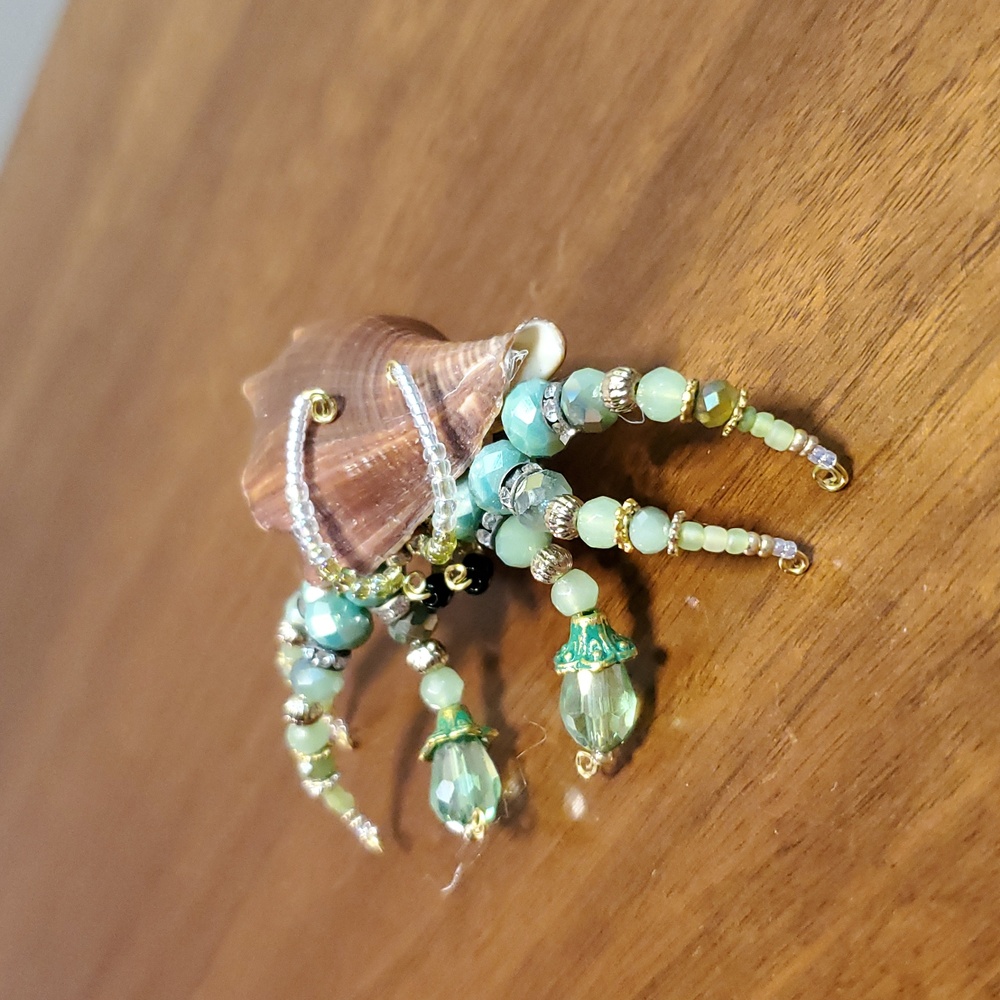 Beaded Sea Shell Hermit Crab - Picture 2 of 6